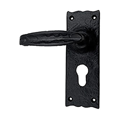 Black Iron Door Handle with Plate - Black Powder Coated Finish