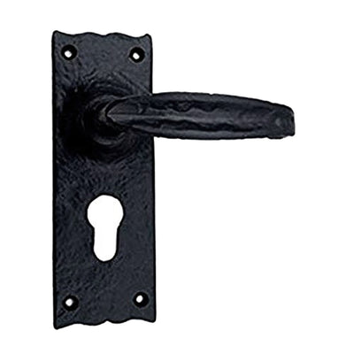 Black Iron Door Handle with Plate - Black Powder Coated Finish
