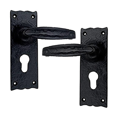 Black Iron Door Handle with Plate - Black Powder Coated Finish
