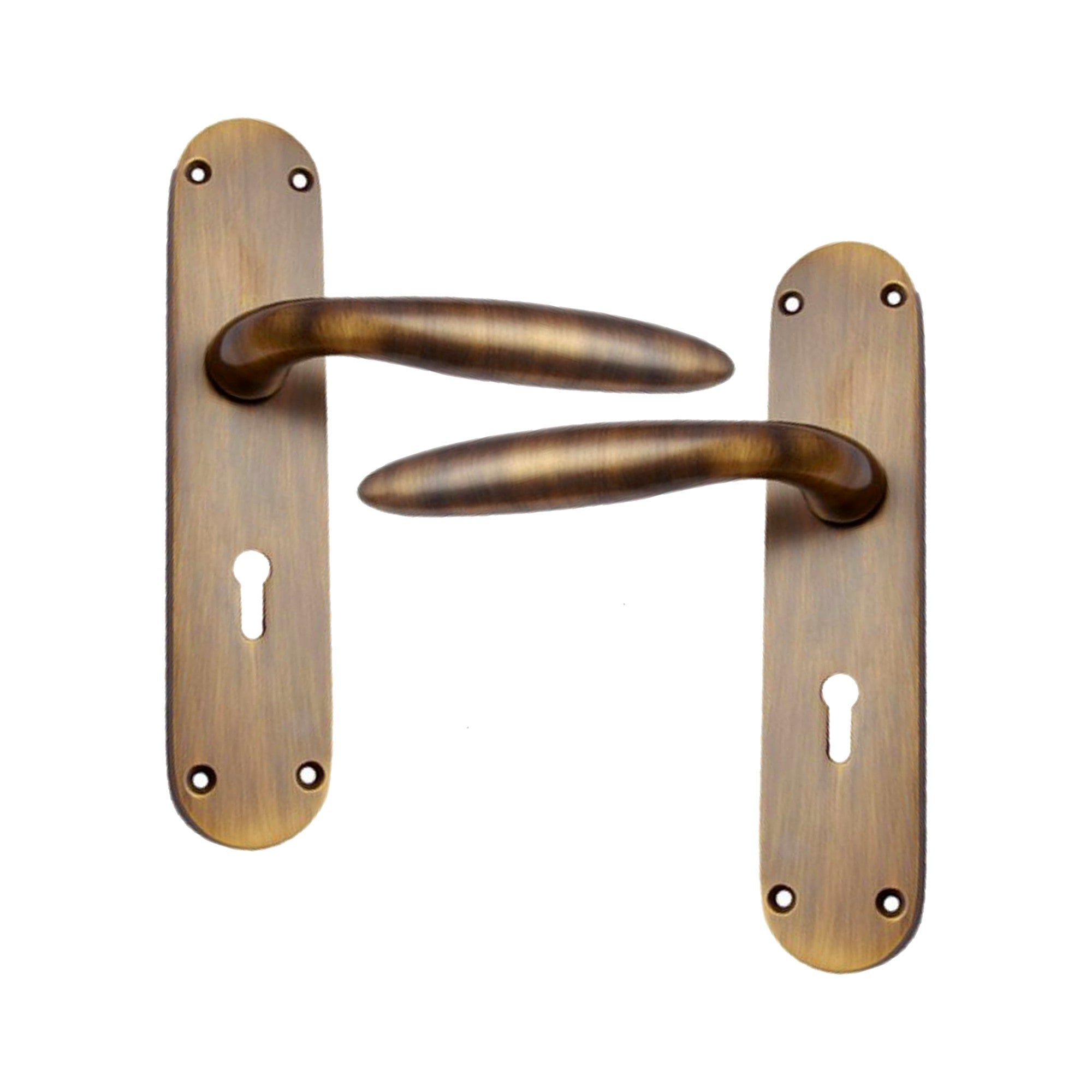 Brass Door Handle with Plate - Antique Brass
