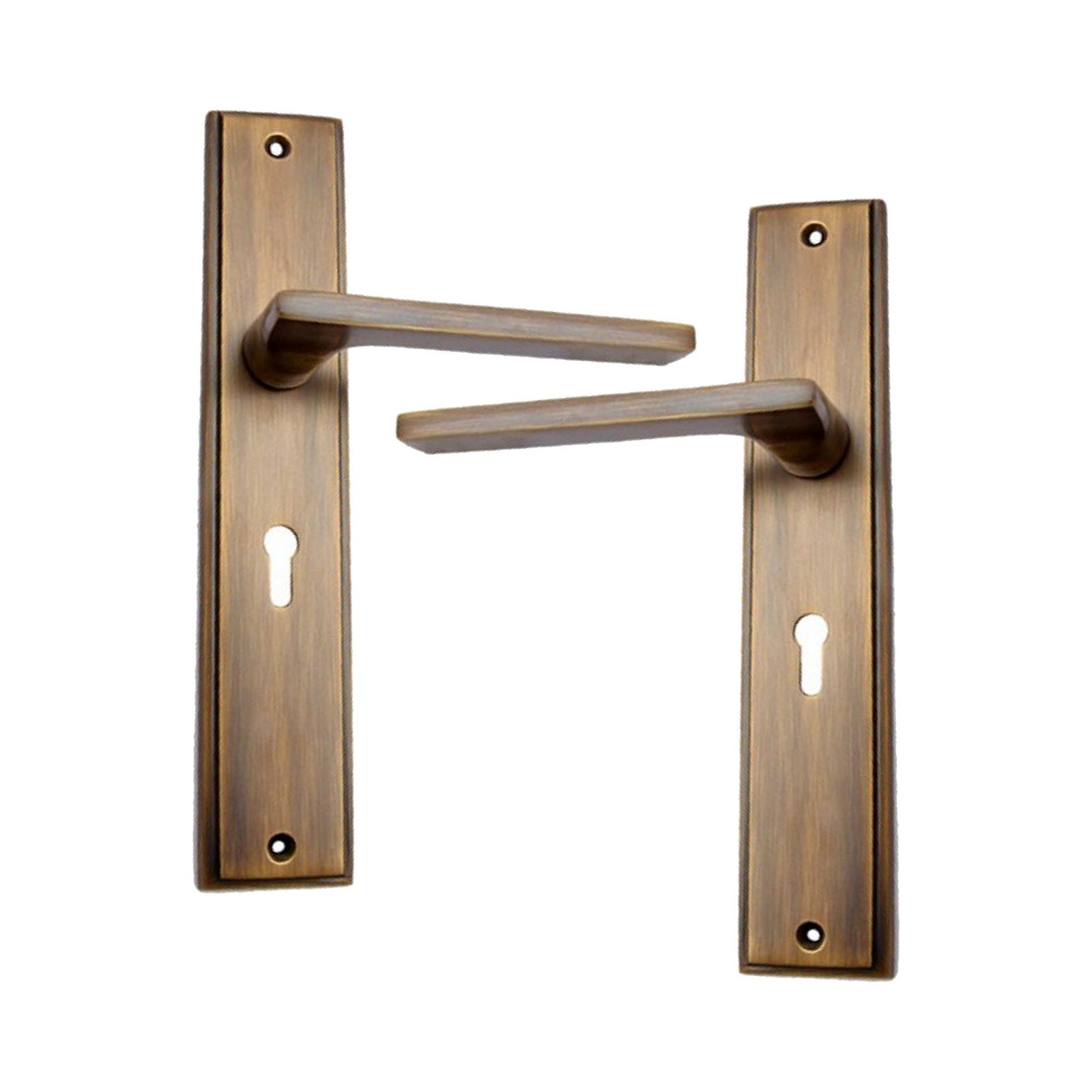 Brass Door Handle with Plate - Antique Brass