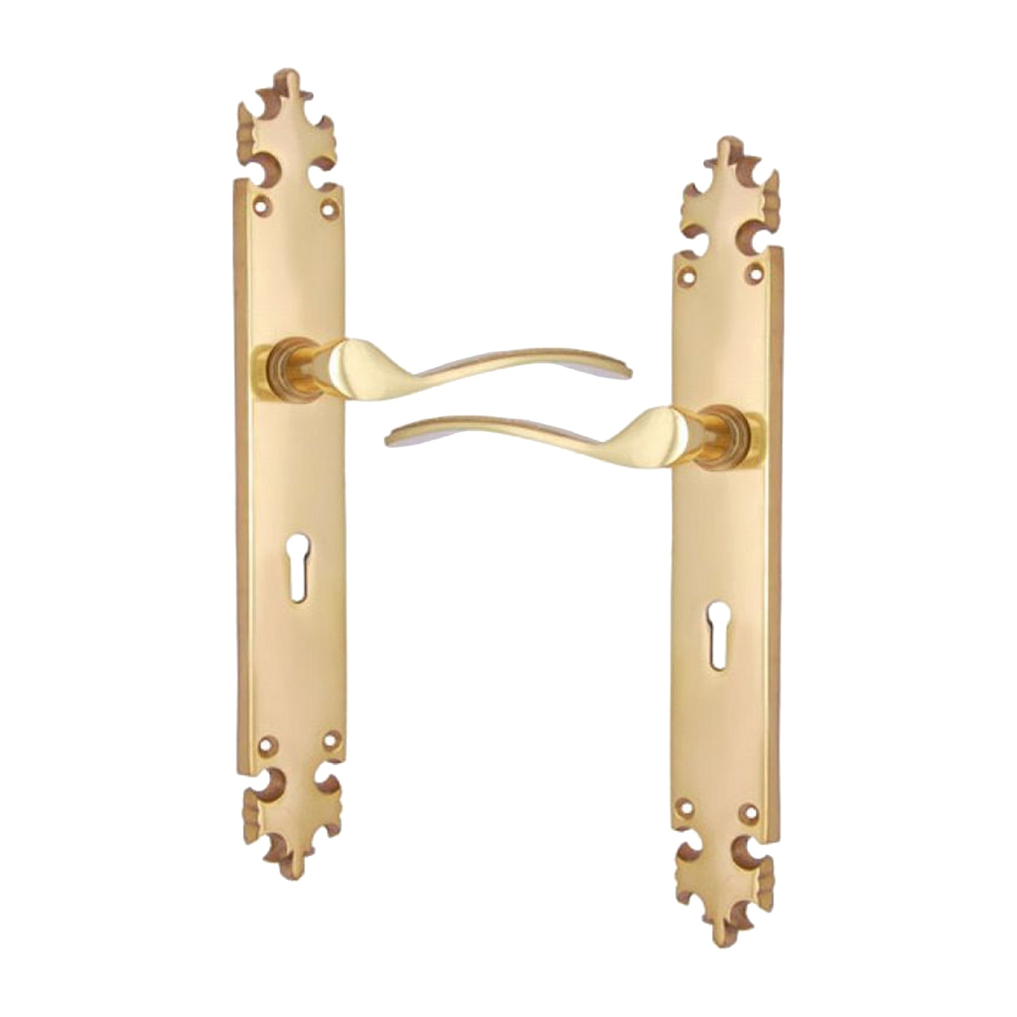Brass Door Handle with Plate - Polish Lacquered