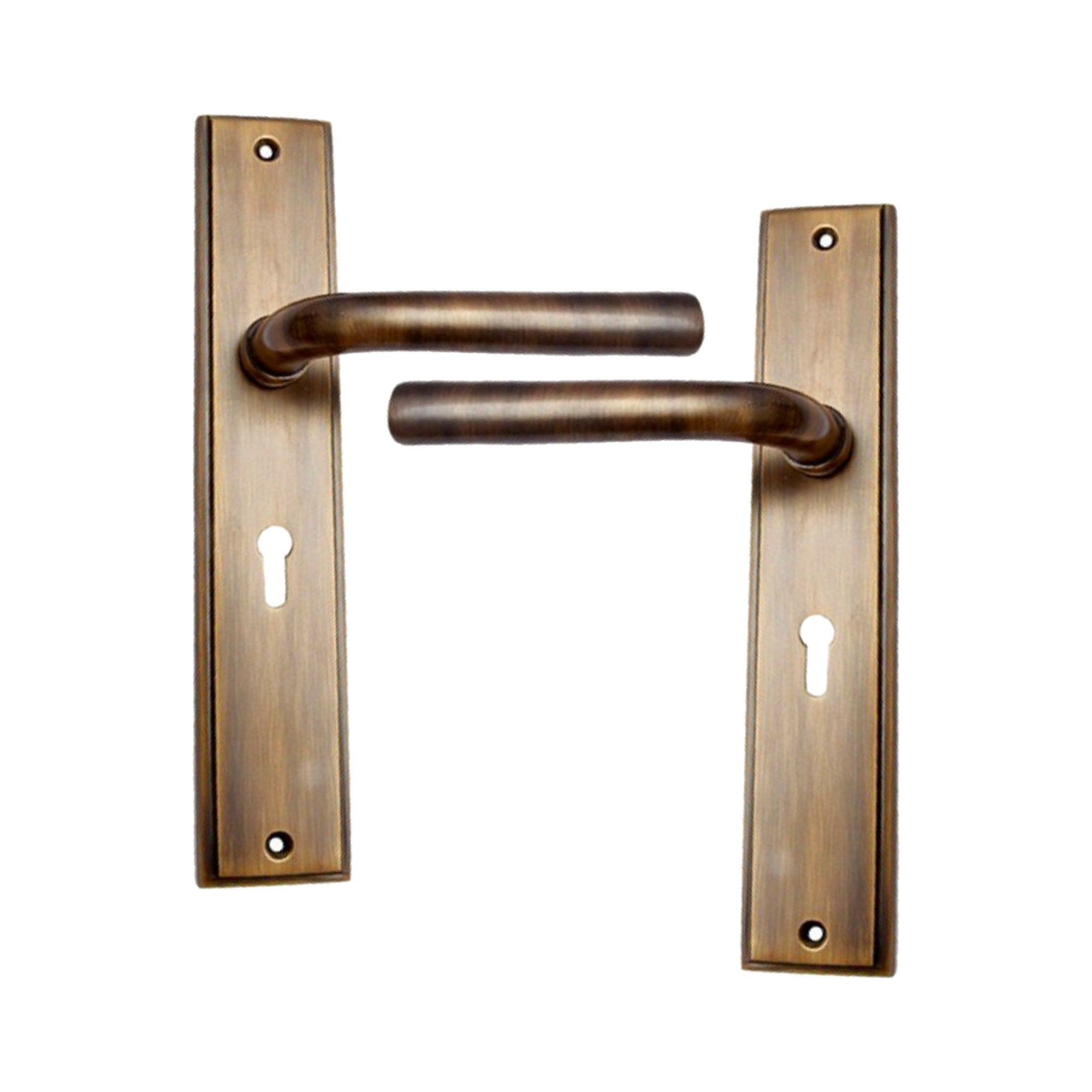 Brass Door Handle with Plate - Antique Brass