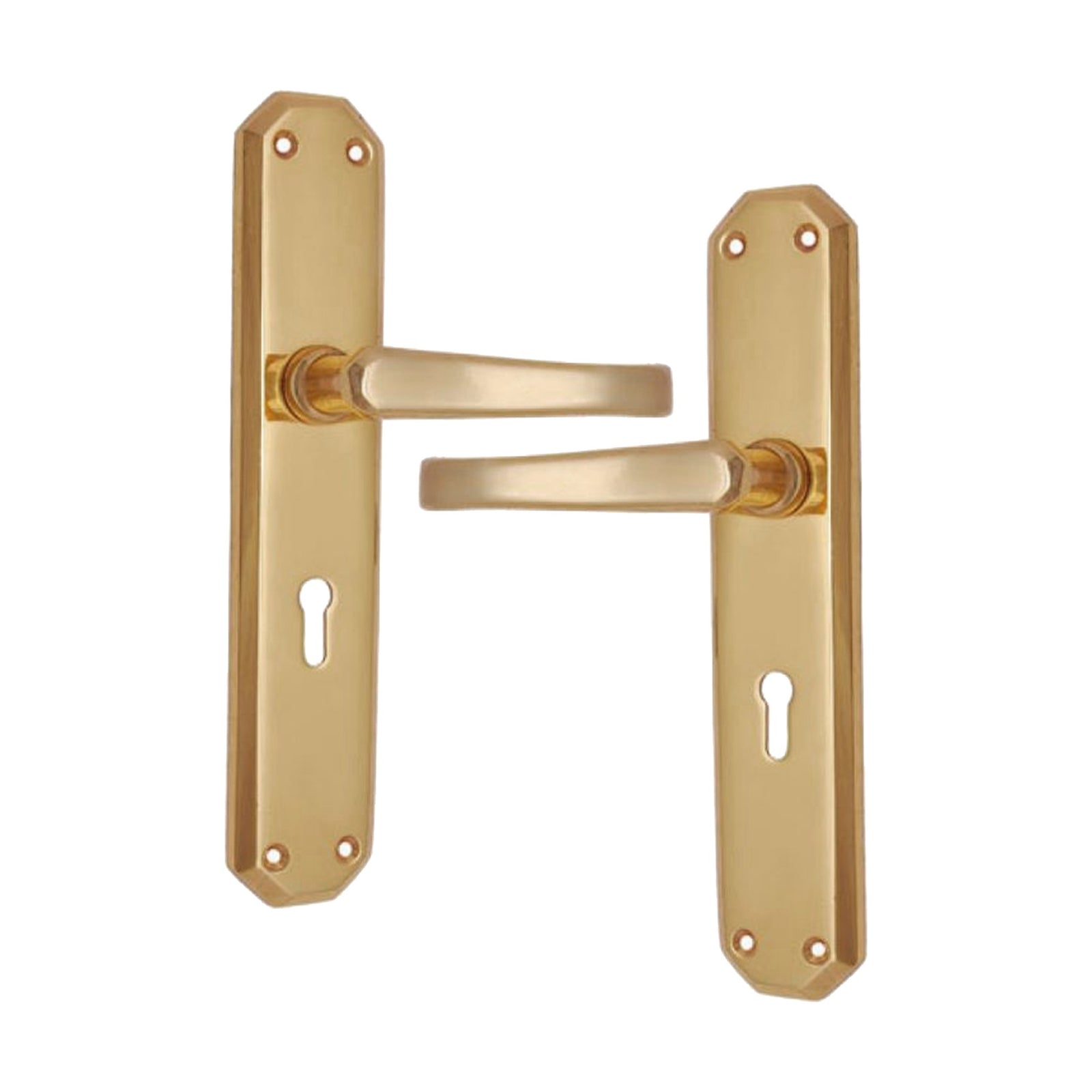 Brass Door Handle with Plate - Polish Lacquered